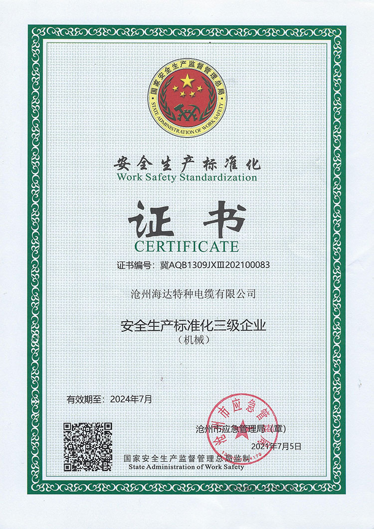 安全生產(chǎn)標準證書