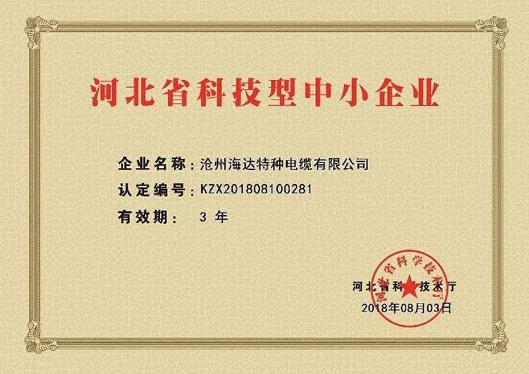 科技型中小企業(yè)證書