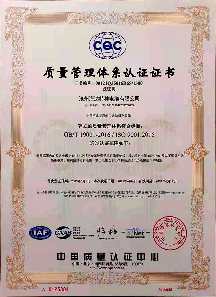 9001：2015質(zhì)量體系認證證書